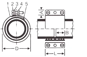 CV S.S Coupling